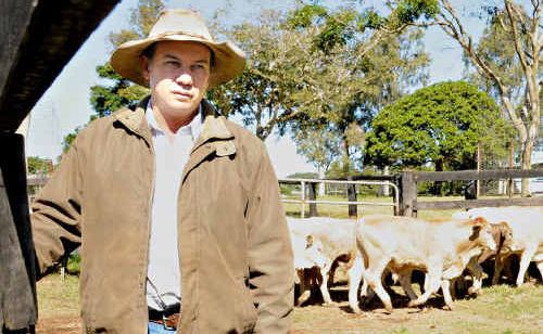 Gympie region’s Shane Bishop welcomed the lifting of the cattle export ban, but said the industry’s trials were not over yet. Gympie region’s Shane Bishop welcomed the lifting of the cattle export ban, but said the industry’s trials were not over yet.